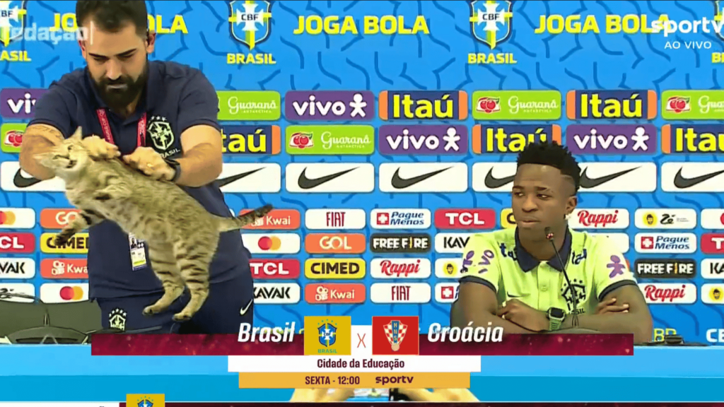 Katze Brasilien Pressekonferenz 2