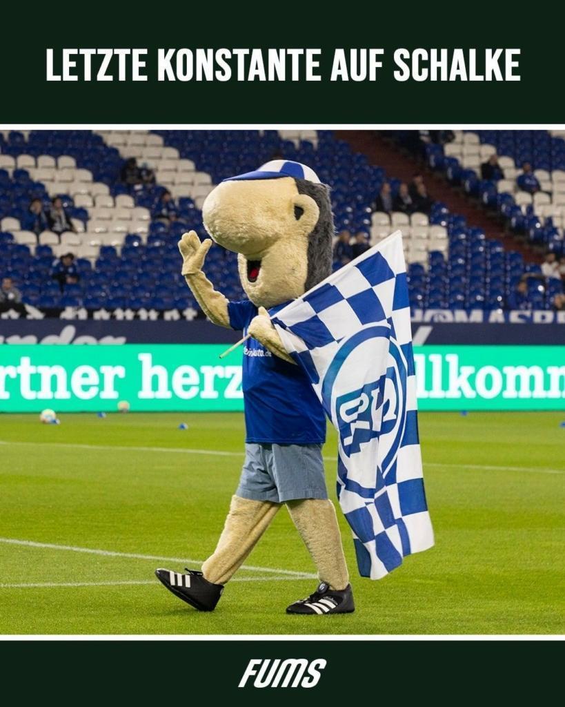 Schalke-Maskottchen Erwin ist die letzte Konstante bei Schalke.